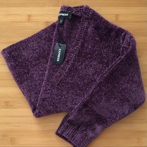 Express Chenille V-neck Sweater